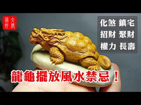 龍龜朝向|【龍龜方向】風水秘笈！揭曉龍龜擺放方向招好運 – 虞默莧師傅